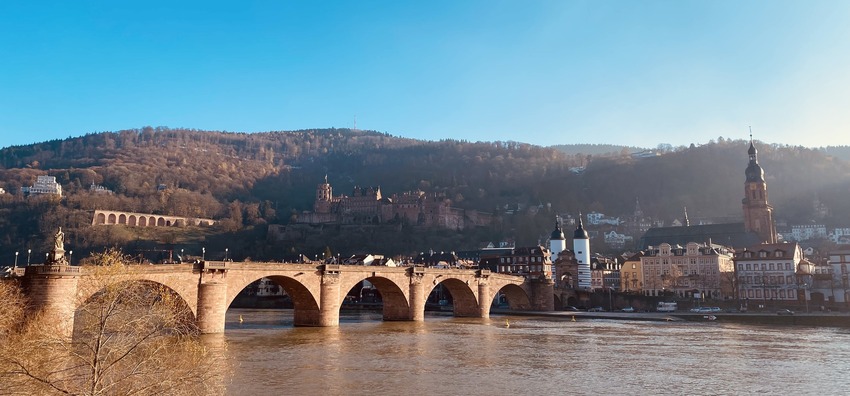 Ljubljana – Heidelberg: Cities of Literature and Delights of Intellectual Exchange 
